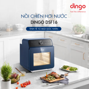 Nồi Chiên Hơi Nước DINGO DSF16 01