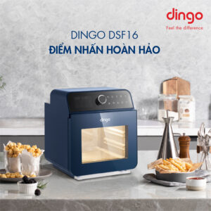 Nồi Chiên Hơi Nước DINGO DSF16 11