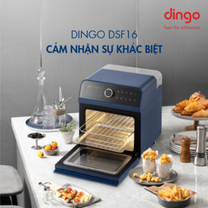 Nồi Chiên Hơi Nước DINGO DSF16 20