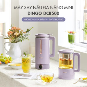 Máy xay nấu đa năng mini Dingo Dcb500-01