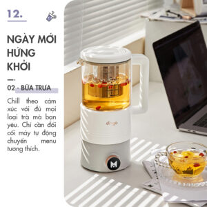 Máy xay nấu đa năng mini Dingo Dcb500-21