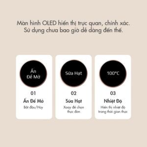 Máy xay nấu đa năng mini Dingo Dcb500-06