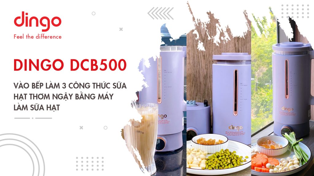Vào bếp làm 3 công thức sữa hạt thơm ngậy bằng máy làm sữa hạt DINGO DCB500