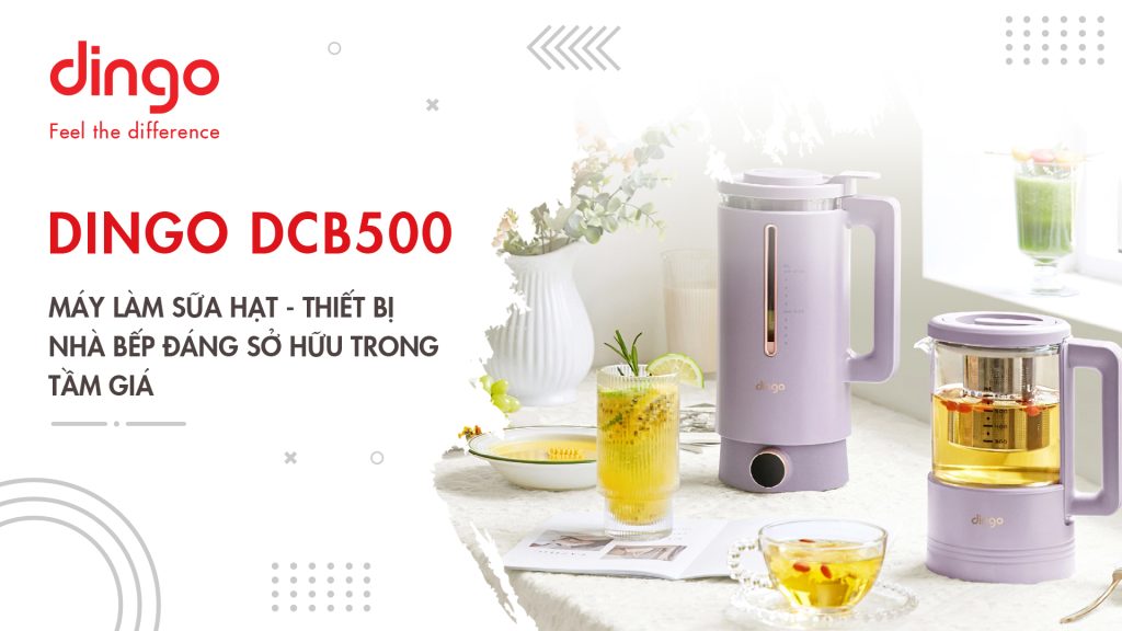 Máy làm sữa hạt DINGO DCB500 - thiết bị nhà bếp đáng sở hữu trong tầm giá