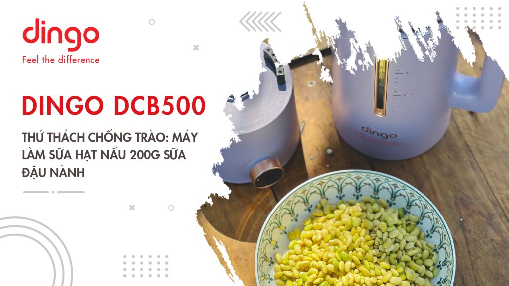 Thử thách chống trào: Máy làm sữa hạt DINGO DCB500 nấu 200g sữa đậu nành